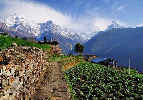 view on the poon hill trek, a family trek in Nepal